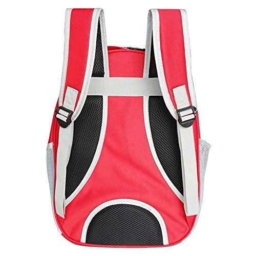 Pet Cat Carrying Bag Space Pet Backpacks Breathable Portable Transparent