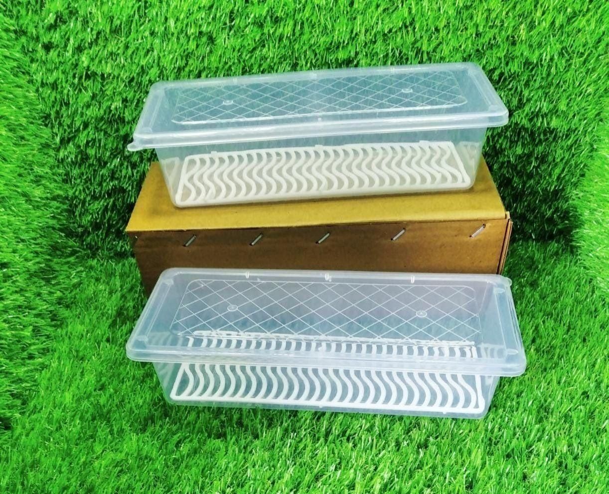 Food Storage Container (Pack of 2)