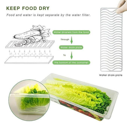 Food Storage Container (Pack of 2)